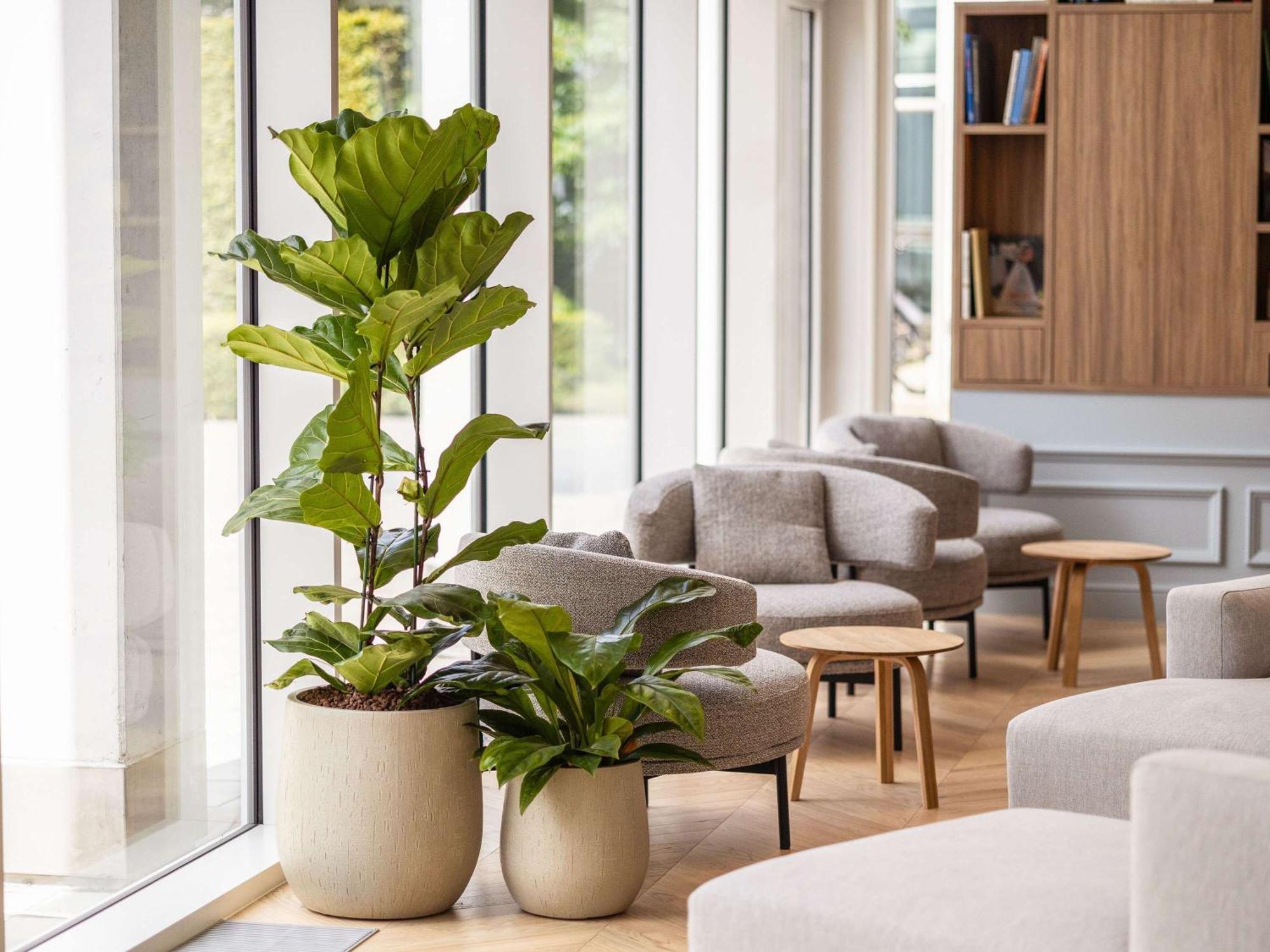 Novotel Brugge Centrum Zewnętrze zdjęcie
